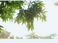 -行人小筑·茶馆(岑村火炉山分店)