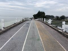 -贡湖湾湿地公园