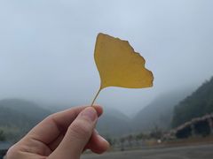 -韶关经律论国际酒店温泉