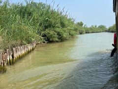 -泗洪洪泽湖湿地景区