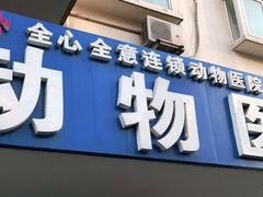 -全心全意连锁动物医院·微创中心·内科急重症·心脏专科(丰管路店)