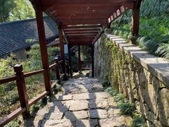 -西泠印社