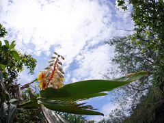 -龙坑生态保护区