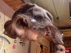 -泥糊破店小酒馆·团建聚餐(南京西路店)