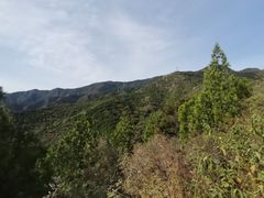 -北京鹫峰国家森林公园
