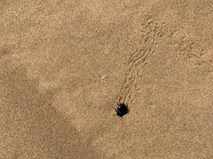 -亿利库布其七星湖沙漠生态旅游区