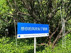 -顺德渔村·岭南一号