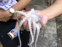 -渔人码头(洛溪店)