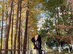 -月湖风景区