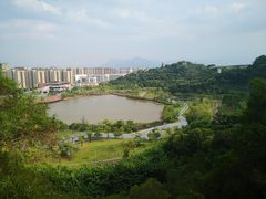 -飞凤山奥体公园