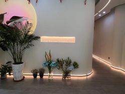 -序言科技美肤中心