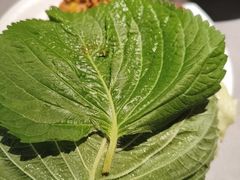 -伍棵星炭烤自助料理·烤鳗鱼(浦东食品城店)