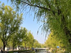 -南长河公园
