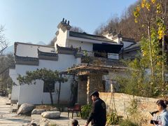 -牛背梁国家森林公园