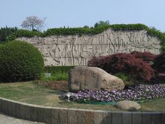 -嘉定紫藤园