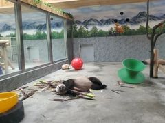 -西安秦岭野生动物园