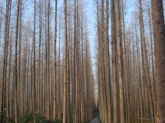 怡沁西路-上海怡沁园度假酒店