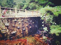 -王顺山国家森林公园