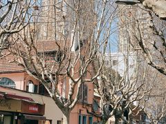 -蝶舍·MAISON PAPILLON