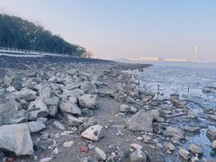 -上海吴淞炮台湾国家湿地公园
