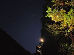 -武陵山森林公园