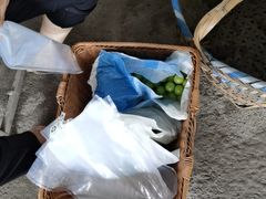 -马陆小张葡萄园农家乐