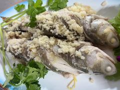 -友强·23年特色海鲜大排档(厦门店)