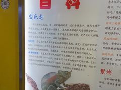 -上海大自然野生昆虫馆(东方明珠·爬宠昆虫探索中心)