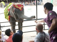 -东芭乐园