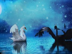 -新世界大丸百货