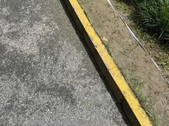 -活水公园