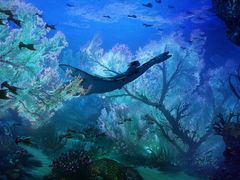 -首都电影院(金融街店 杜比全景声)