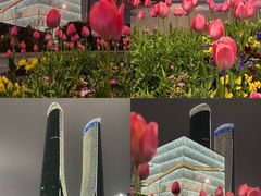 -杭州奥体中心-体育场