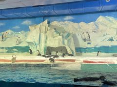 -海合安天津极地海洋公园