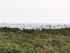 -北海金海湾红树林生态旅游区