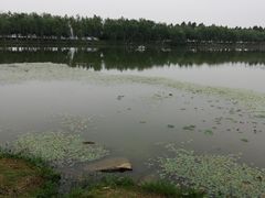 -艾溪湖湿地公园