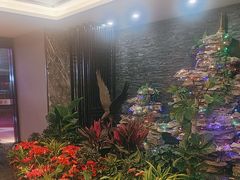 -尊足养生·影院足道·主题spa·采耳(浦江店)