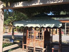 -食家鸽园