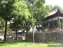 -长沙市青少年宫