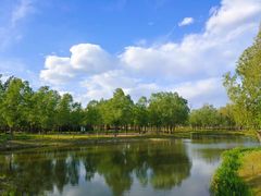 -东郊湿地公园