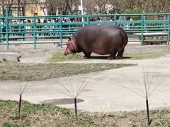 -哈尔滨北方森林动物园