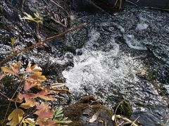 -碓臼峪自然风景区