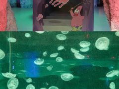 -台州海洋世界