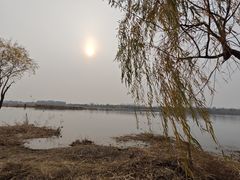 -绿堤公园