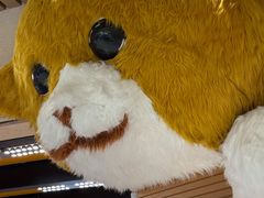 -帕帕拉兹宠物(亚洲旗舰店)