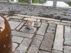 -巡塘古镇