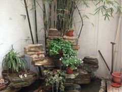 小花园-燕庭·纯燕窝·甜品下午茶(南京西路店)