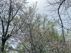 -太湖湖滨国家湿地公园-停车场