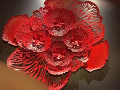 -芙蓉十九·新湘菜