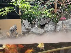 -舟小鲜·舟山小渔村(凤城四路中登广场店)